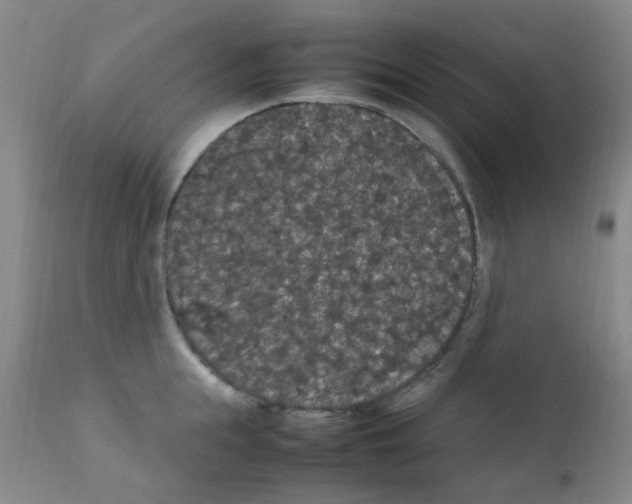 X0000111860855200909031749