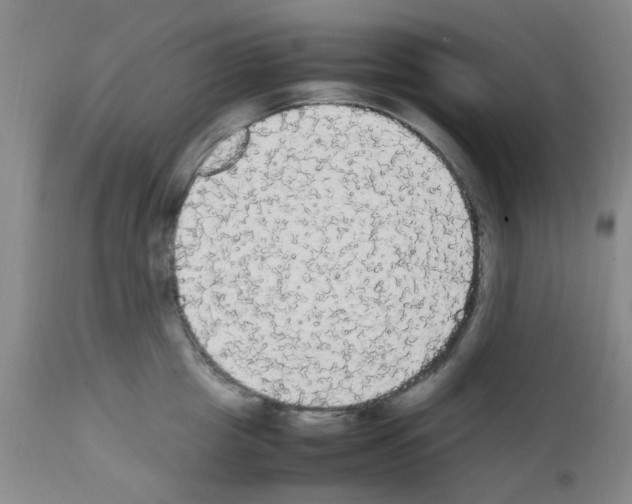 X0000111860857200909031749