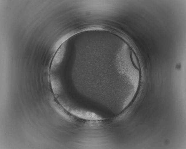 X0000111860858200909031749