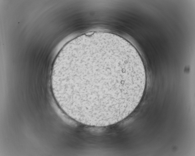 X0000111860861200909031749