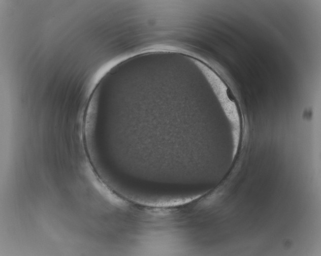 X0000111860862200909031749