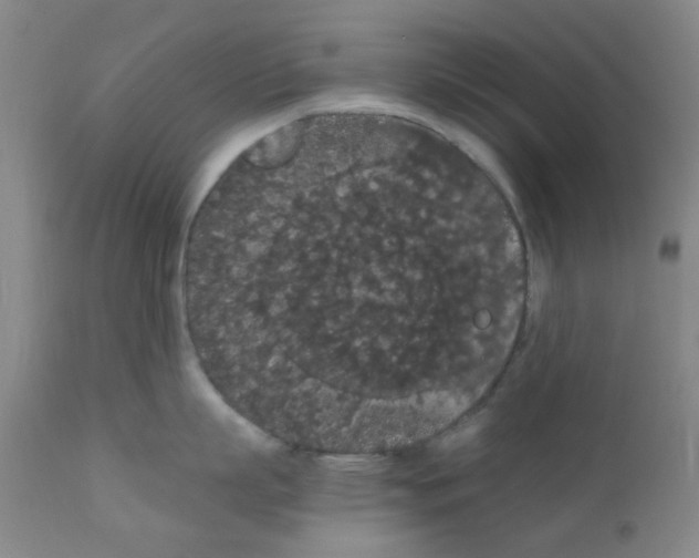 X0000111860863200909031749