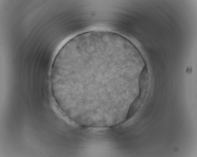 X0000111860864200909031749