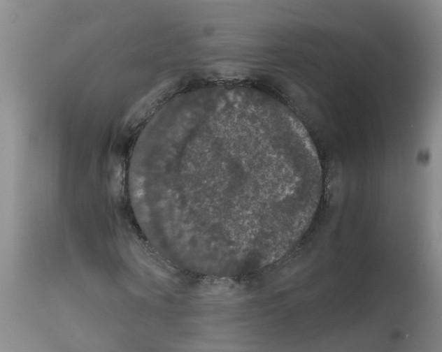 X0000111860866200909031749