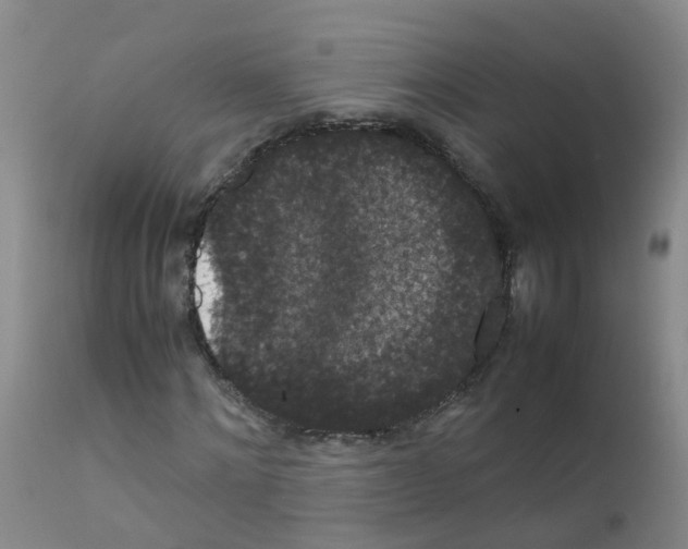 X0000111860868200909031749