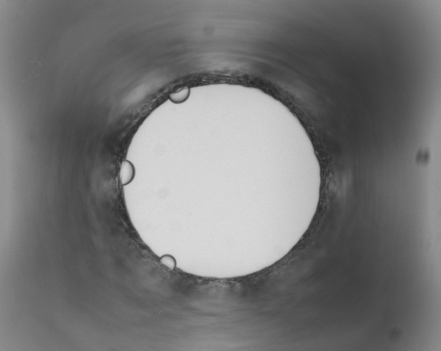 X0000111860869200909031749