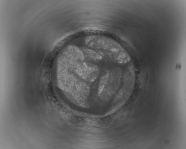 X0000111860870200909031749