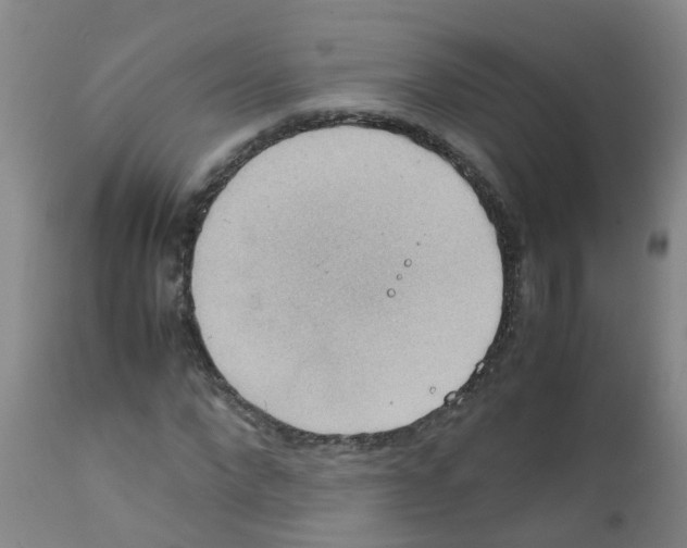 X0000111860872200909031748