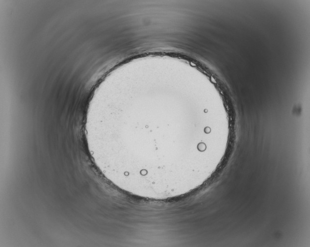 X0000111860873200909031748
