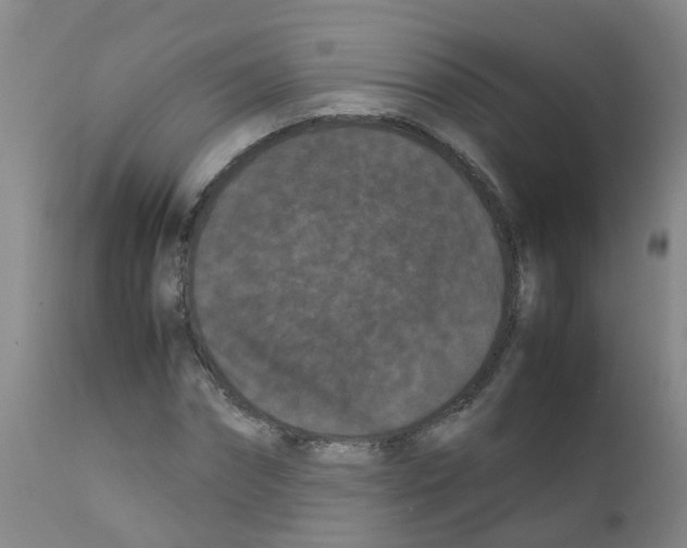 X0000111860874200909031748