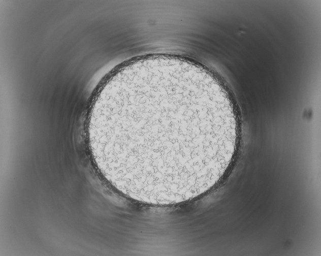 X0000111860875200909031748