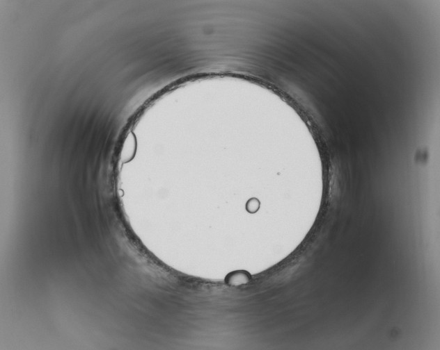 X0000111860876200909031748