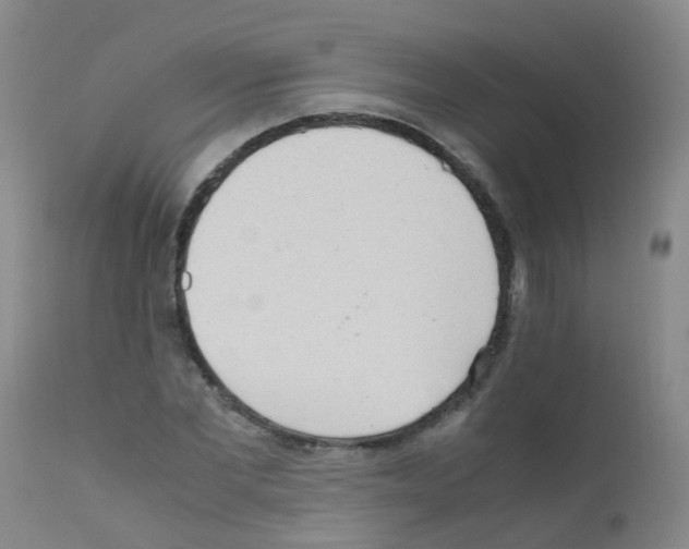 X0000111860877200909031748