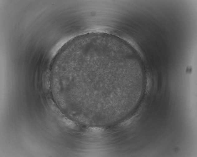 X0000111860878200909031748