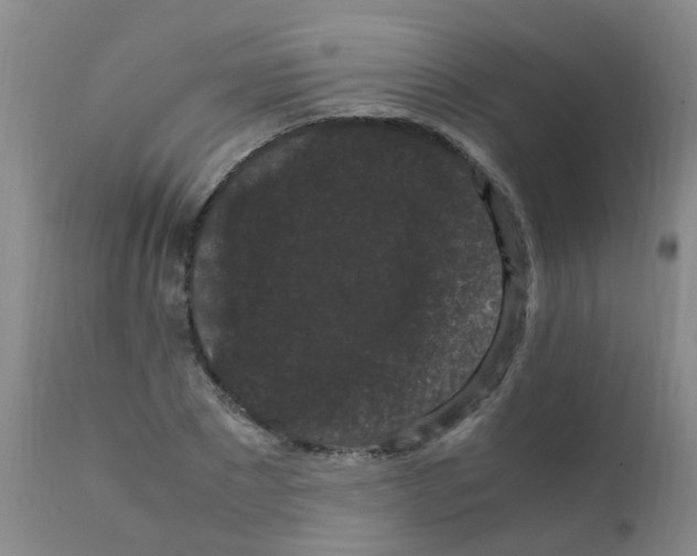 X0000111860881200909031748