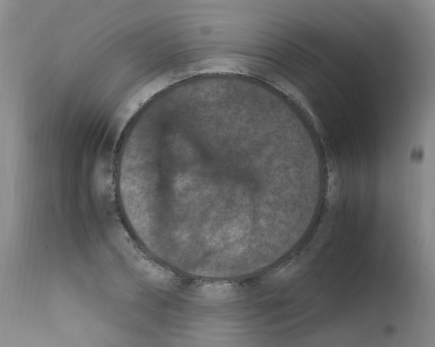 X0000111860882200909031748