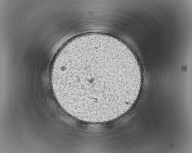 X0000111860883200909031748