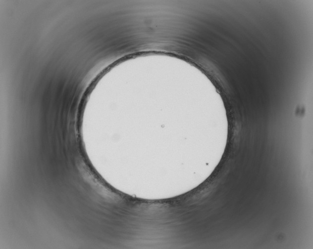 X0000111860884200909031748