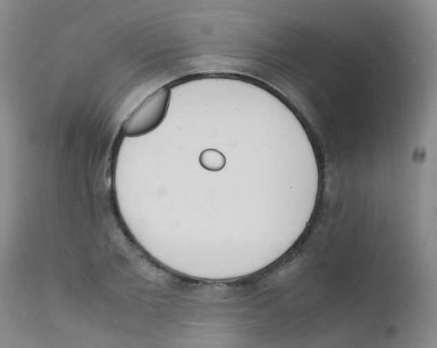 X0000111860885200909031748