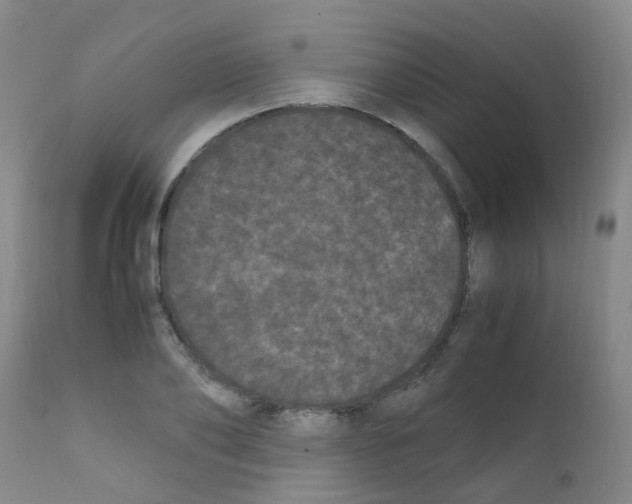 X0000111860886200909031748