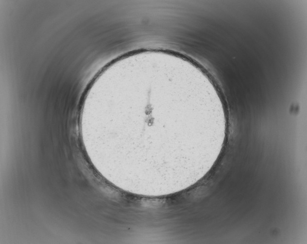 X0000111860887200909031748