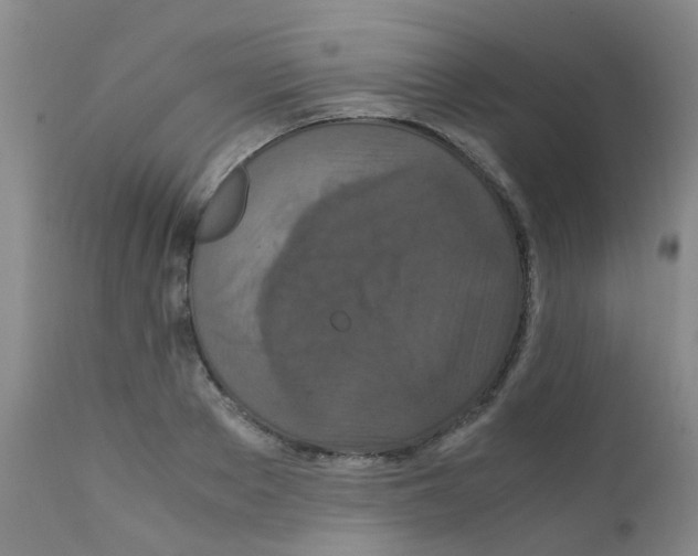 X0000111860889200909031748