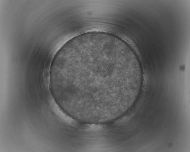 X0000111860890200909031748