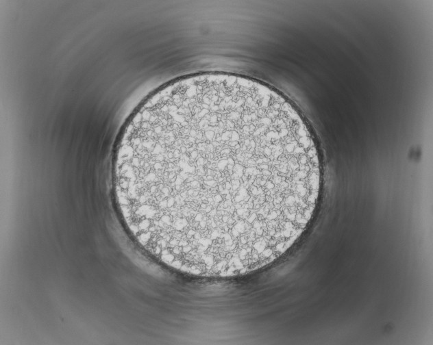 X0000111860891200909031748