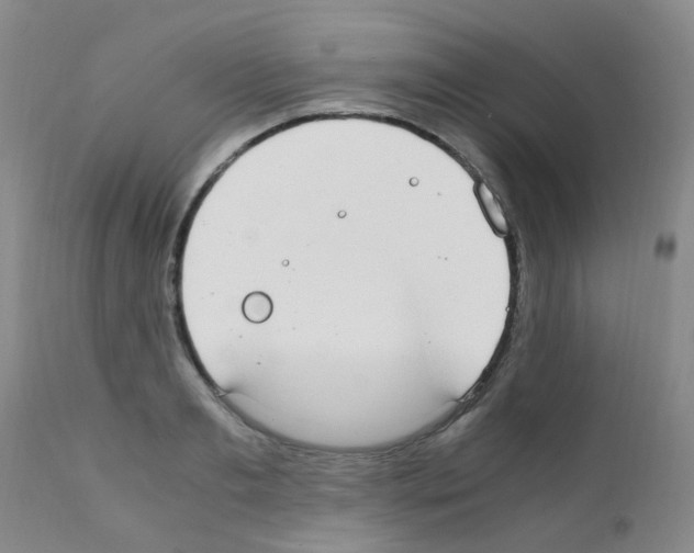X0000111860893200909031748