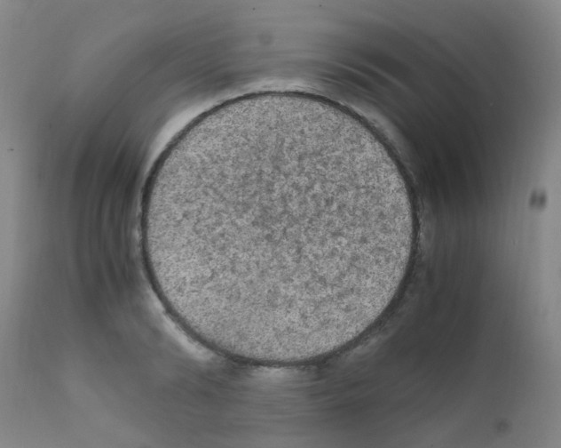 X0000111860894200909031748