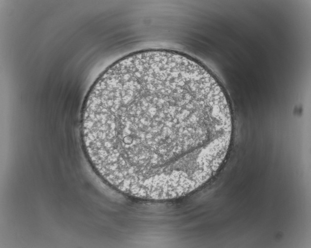 X0000111860895200909031748