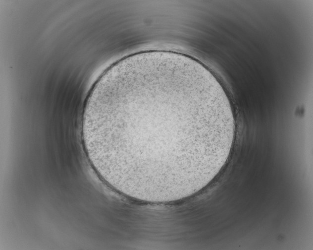 X0000111860896200909031748
