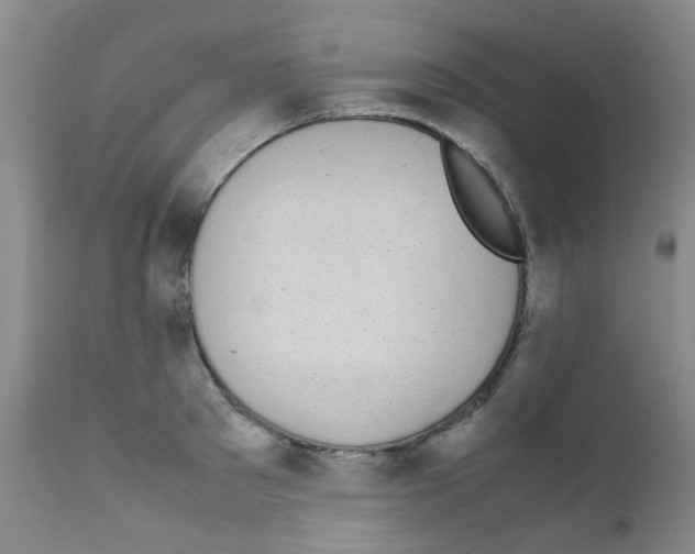 X0000111860897200909031748