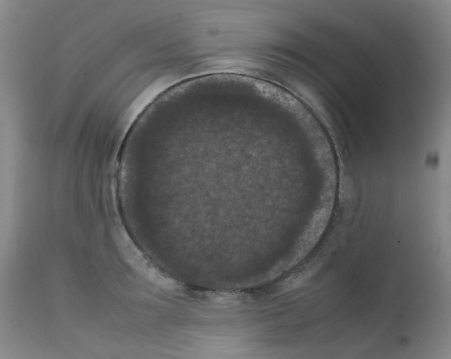 X0000111860899200909031748