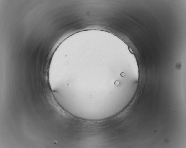 X0000111860908200909031748