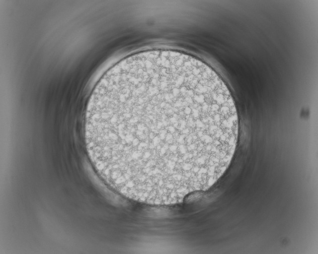 X0000111860911200909031748