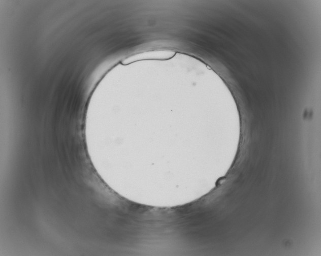 X0000111860912200909031748