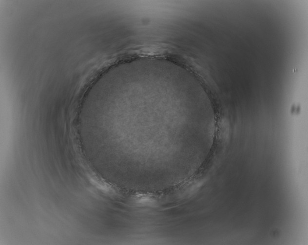 X0000111860913200909031747