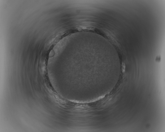 X0000111860915200909031747