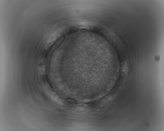 X0000111860916200909031747
