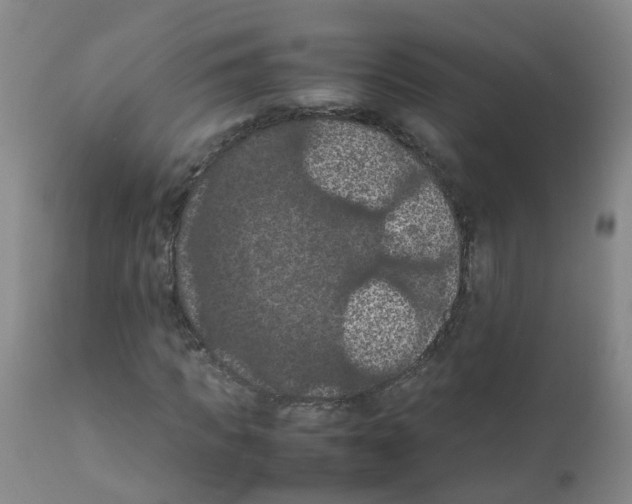 X0000111860917200909031747