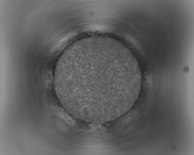 X0000111860918200909031747