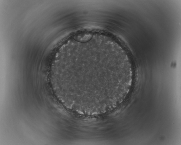 X0000111860919200909031747