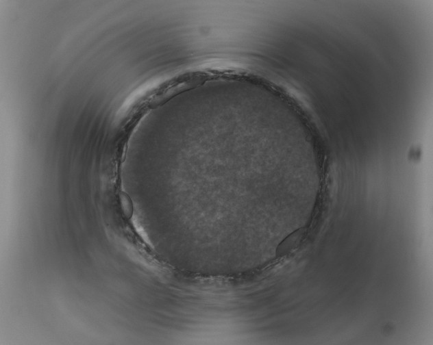 X0000111860920200909031747