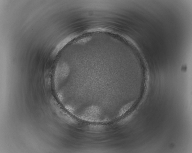 X0000111860921200909031747