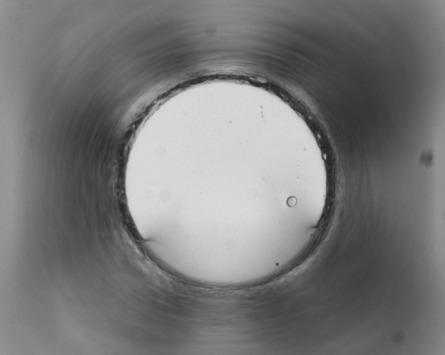 X0000111860922200909031747