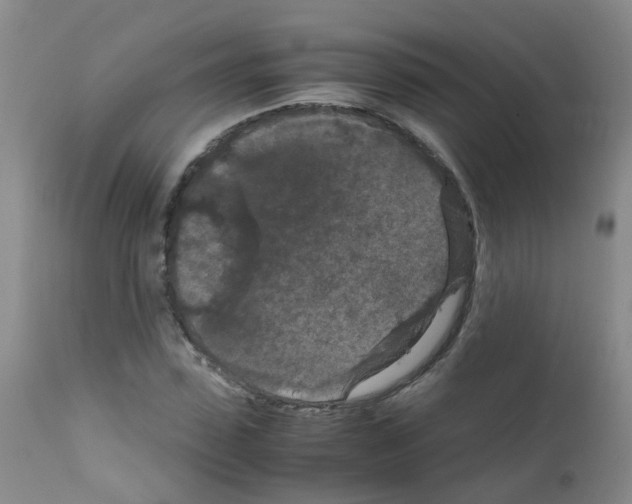 X0000111860923200909031747