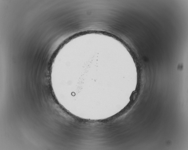 X0000111860926200909031747