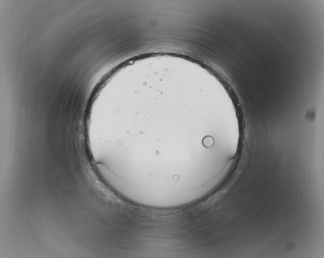 X0000111860928200909031747