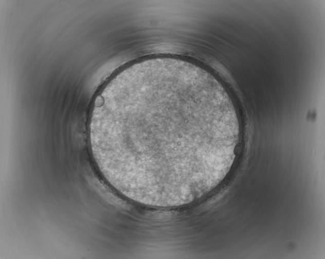 X0000111860930200909031748
